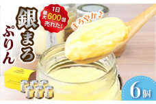銀まろぷりん6個セット プリン 高級卵 すっきり デザート 洋菓子 お菓子 スイーツ 高級感 甘い 冷凍 広川町 / イートウェル株式会社 [AFAK270]