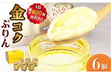 金コクぷりん6個セット プリン 広川町 / イートウェル株式会社 [AFAK274] プリン 高級卵 デザート 洋菓子 お菓子 スイーツ プリン ぷりん 冷凍