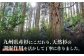 ぬか漬けスターターセット。糠漬け ぬか床 スギドコ