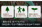 お弁当箱2段。天然杉。スギドコ