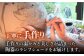 陶器のランプシェード。焼き物 デザイン ライト