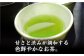 八女茶 計1kg お茶 緑茶 煎茶