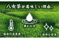八女茶 計1kg お茶 緑茶 煎茶