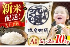 【★新米先行予約★　2025年12月より発送】【令和7年産】元気つくし 10kg （5kg×2袋） 米 こめ コメ お米 ご飯 ごはん 精米 白米 新米 ライス 元気つくし 県産米 国産米 ブランド米 福岡 めし丸 広川町 / JAふくおか八女農産物直売所どろや [AFAB001]