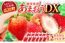 【★先行予約★　2026年2月より発送】あまおうDX等級 6ケース（270g×12パック） いちご 苺 フルーツ 果物 くだもの 旬 福岡県産 小分け 広川町 / JAふくおか八女農産物直売所どろや [AFAB006]