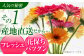 ガーベラ 花 はな 生花 プレゼント