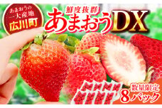 【★先行予約★　2026年2月より発送】あまおうDX等級 4ケース（270g×8パック） いちご 苺 フルーツ 果物 くだもの 旬 福岡県産 小分け 広川町 / JAふくおか八女農産物直売所どろや [AFAB005]