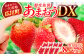 果物 あまおうDX等級 いちご イチゴ 苺 アマオウ