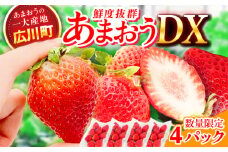 【★先行予約★　2026年2月より発送】あまおうDX等級  2ケース（270g×4パック） いちご イチゴ 苺 フルーツ 果物 旬 福岡県産 小分け あまおう 博多 産地直送 大きい 甘い いちご イチゴ 広川町 / JAふくおか八女農産物直売所どろや [AFAB004]