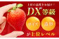 あまおうDX等級