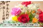 ドライフラワー 花 ギフト
