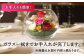 ドライフラワー 花 ギフト