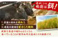 ハンバーグ 肉 にく ニク お肉 牛肉 博多和牛 黒毛和牛