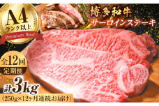 【12回定期便】博多和牛 サーロインステーキ250g×1枚 肉 牛肉 ステーキ 黒毛和牛 バーベキュー 広川町 / 株式会社MEAT PLUS [AFBO004]