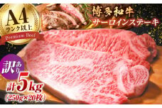 【訳あり】博多和牛 サーロイン ステーキ セット 5kg（250g×20枚）牛肉 贈答用 赤身 国産 広川町 / 株式会社MEAT PLUS [AFBO013]