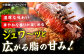 牛肉 肉 にく ニク 国産 博多和牛 国産 ステーキ