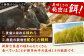 肉 ヒレステーキ 博多和牛 黒毛和牛 国産 牛肉