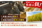 肉 にく ニク 博多和牛 黒毛和牛 国産 牛肉