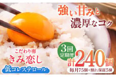 【3回定期便】きみ恋し 80個（75個+割れ保証5個）×3ヶ月 総計240個 広川町/伊藤養鶏場 [AFAJ012]