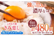 【6回定期便】きみ恋し 80個（75個+割れ保証5個）×6ヶ月 総計480個 広川町/伊藤養鶏場 [AFAJ013]