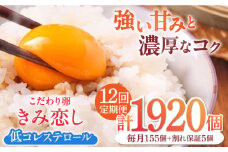 【12回定期便】きみ恋し 160個（155個+割れ保証5個）×12ヶ月 総計1920個 広川町/伊藤養鶏場 [AFAJ018]