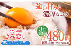 【3回定期便】きみ恋し 160個（155個+割れ保証5個）×3ヶ月 総計480個 広川町/伊藤養鶏場 [AFAJ016]