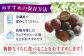 巨峰 ぶどう ブドウ 葡萄 果物 フルーツ