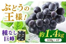 【★先行予約★　2025年7月中旬より発送】種なし巨峰  約1.4kg ふどう ブドウ 葡萄 巨峰 種なし フルーツ 果物 果実 くだもの 旬 産地直送 福岡 新鮮 冷蔵 広川町 / JAふくおか八女農産物直売所どろや [AFAB017]