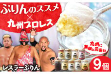 九州プロレス×ぷりんのススメ レスラーぷりん9個 プリン カスタード 菓子 お菓子 スイーツ プロレス プロレスラー コラボ ぷりんのススメ 福岡 広川町 /　イートウェル株式会社 [AFAK295]