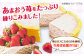 ケーキ けーき チーズケーキ ベイクドチーズケーキ いちご