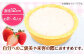 ケーキ けーき チーズケーキ ベイクドチーズケーキ いちご