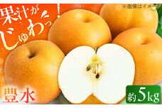 【★先行予約★　2025年8月下旬より発送】 梨（豊水） 約5kg なし ナシ 梨 豊水 果物 くだもの 果汁 フルーツ 旬 甘い 食感 丸い 梨 なし 広川町 / JAふくおか八女農産物直売所どろや [AFAB023]