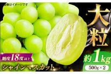 【★先行予約★　2025年8月下旬以降発送】シャインマスカット 2房セット 約1kg ますかっと シャインマスカット しゃいんますかっと ぶどう 果物 くだもの 種なし 皮ごと 旬 福岡 葡萄 フルーツ 予約 お取り寄せ 旬 大きい 人気 シャインマスカット 広川町 / JAふくおか八女農産物直売所どろや [AFAB012]