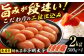 明太子 めんたいこ メンタイコ 辛子明太子 博多