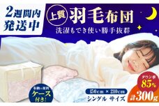 【羽毛量0.3kgブルー系】国産「筑後七国」 3シーズン使える 羽毛肌掛けふとん 抗菌 防臭 布団 シングル 寝具 だうん ダックダウン 綿 広川町 / ヒラモリ株式会社 [AFAO005]