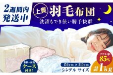 【羽毛量1kgピンク系】【工場直送】国産「筑後七国」羽毛掛け布団 1.0kg 抗菌・防臭加工 ダウン ダウンパワー340以上 布団 シングル 寝具 だうん 綿 広川町 / ヒラモリ株式会社 [AFAO006]