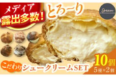 【10個】9ream（クリーム） こだわりシュークリームSET 専門店 クリーム スイーツ 広川町 / イートウェル株式会社 [AFAK296]