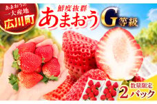 【★先行予約★　2026年2月より発送】あまおうG等級 1ケース（270g×2パック）いちご イチゴ 苺 フルーツ 果物 旬 福岡県産 小分け あまおう 博多 大きい 甘い 広川町 / JAふくおか八女農産物直売所どろや [AFAB069]