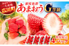 【★先行予約★　2026年2月より発送】あまおうG等級 2ケース（270g×4パック）いちご イチゴ 苺 フルーツ 果物 旬 福岡県産 小分け あまおう 博多 大きい 甘い 広川町 / JAふくおか八女農産物直売所どろや [AFAB070]