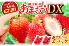 【★先行予約★　2026年2月より発送】あまおうDX等級 1ケース（270g×2パック） いちご イチゴ 苺 フルーツ 果物 旬 福岡県産 小分け あまおう 博多 大きい 甘い 広川町 / JAふくおか八女農産物直売所どろや [AFAB072]