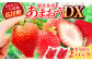 あまおうDX等級