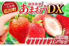 【★先行予約★　2026年2月より発送】あまおうDX等級 3ケース（270g×6パック）いちご イチゴ 苺 フルーツ 果物 旬 福岡県産 小分け あまおう 博多 大きい 甘い 広川町 / JAふくおか八女農産物直売所どろや [AFAB073]