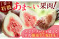 とよみつひめ いちじく イチジク 無花果 果物 フルーツ