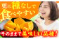 果物 秋王 柿 かき フルーツ