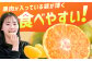 果物 早味かん フルーツ みかん ミカン 蜜柑