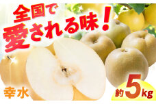 【★先行予約★ 2025年7月下旬より発送】梨（幸水）約5kg なし ナシ 梨 幸水 果物 くだもの 果汁 フルーツ デザート 旬 甘い 食感 丸い 産地直送 広川町 / JAふくおか八女農産物直売所どろや [AFAB060]