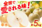 梨（幸水） なし ナシ 果物