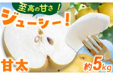 【★先行予約★　2025年9月中旬より発送】梨（甘太）約5kg なし ナシ 梨 甘太 果物 くだもの 果汁 フルーツ デザート 旬 甘い 食感 丸い 産地直送 広川町 / JAふくおか八女農産物直売所どろや [AFAB061]