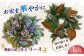 リース 花 飾り 植物 ドライフラワー
