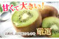 果物